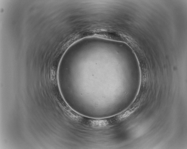 X0000059800281200510211059