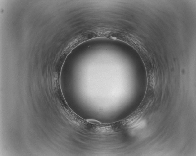 X0000059800283200510211059