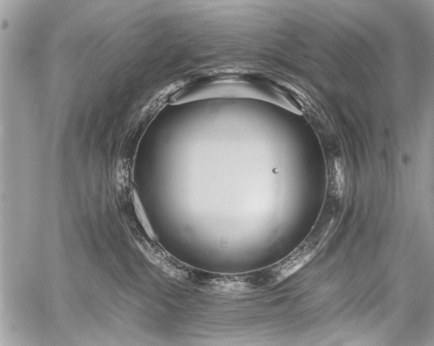 X0000059800284200510211059