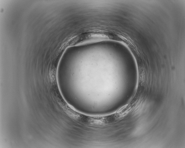 X0000059800285200510211059