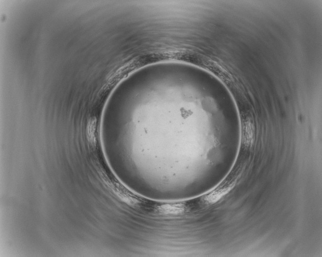 X0000059800286200510211059