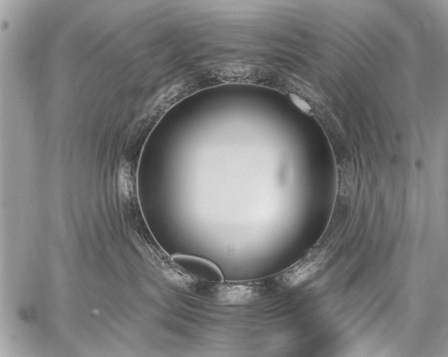 X0000059800287200510211059