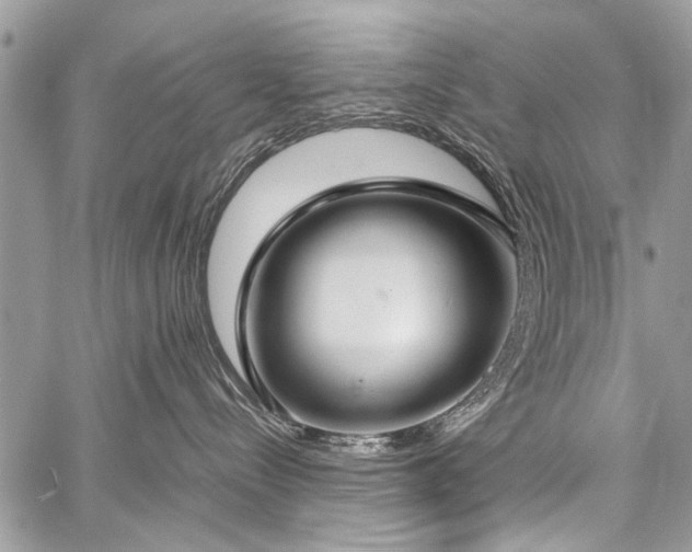 X0000059800288200510211059