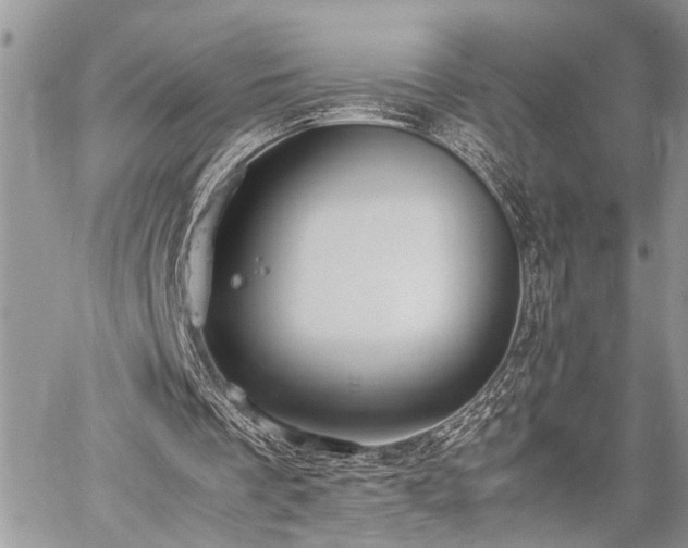 X0000059800289200510211059