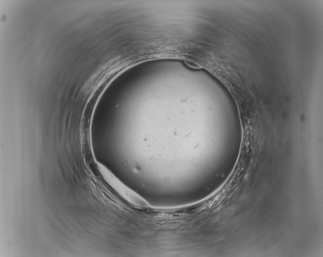 X0000059800290200510211059