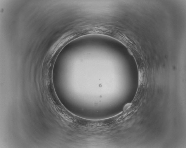 X0000059800291200510211058