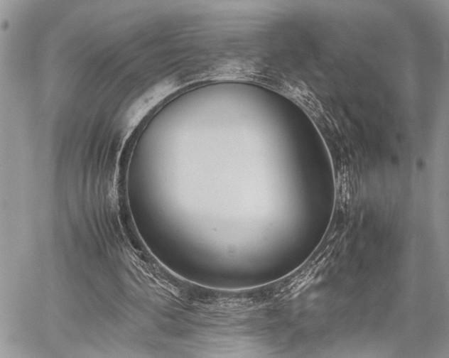 X0000059800292200510211058