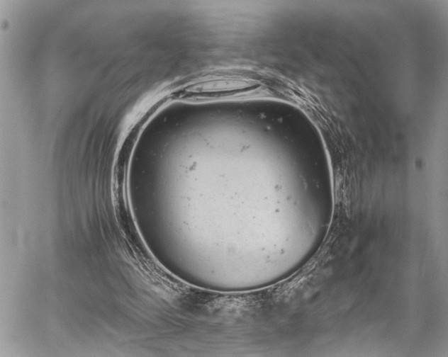 X0000059800294200510211058