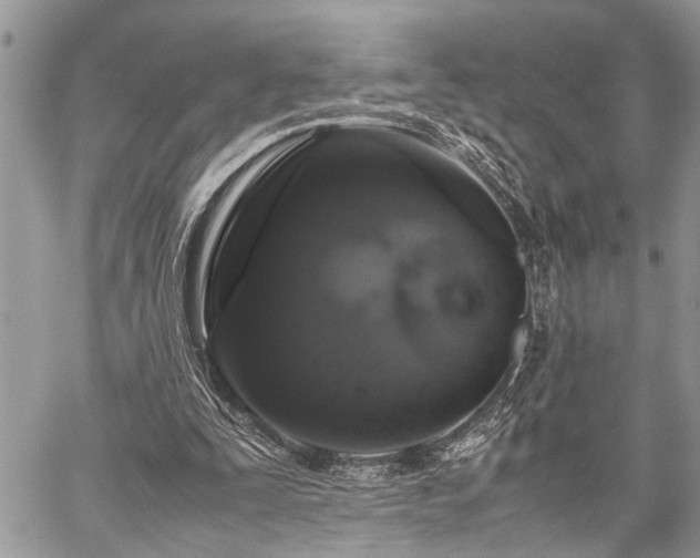 X0000059800295200510211058