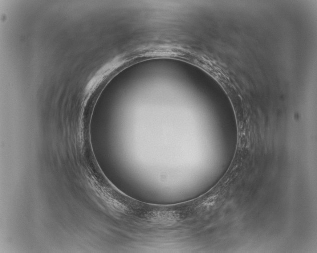 X0000059800296200510211058