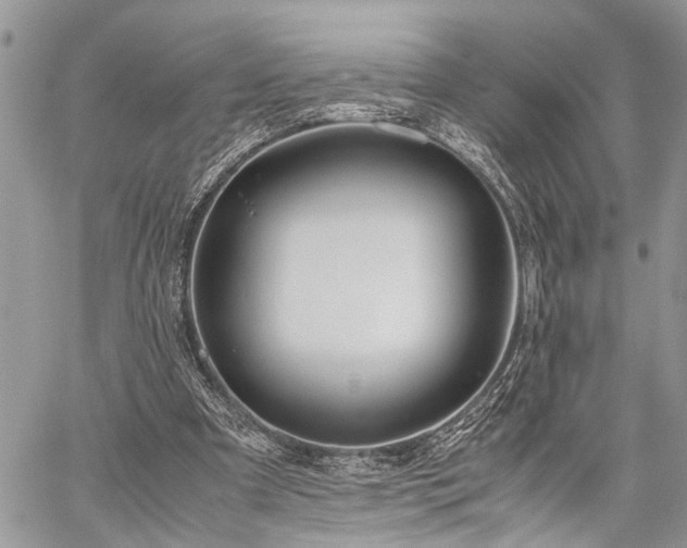 X0000059800297200510211058