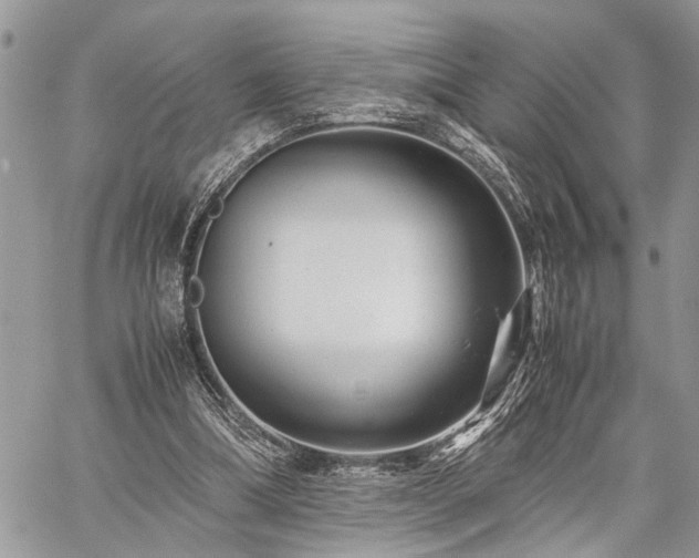 X0000059800298200510211058