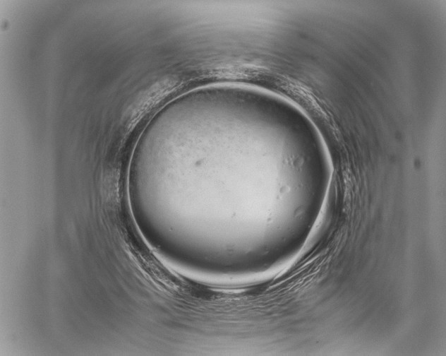 X0000059800299200510211058