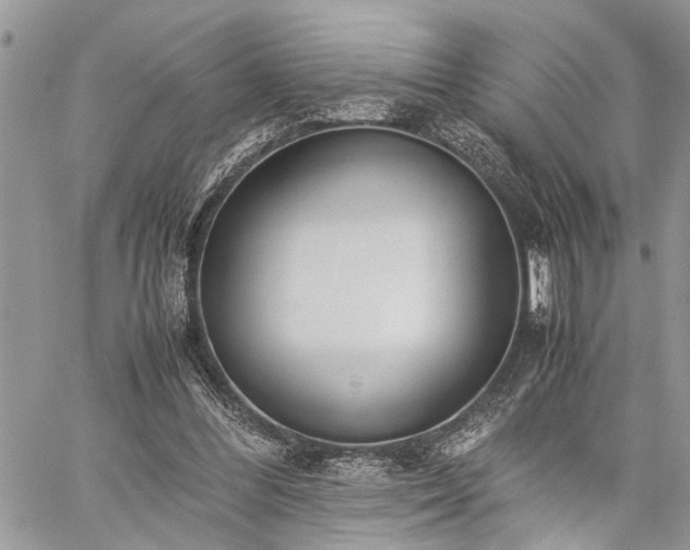 X0000059800300200510211058