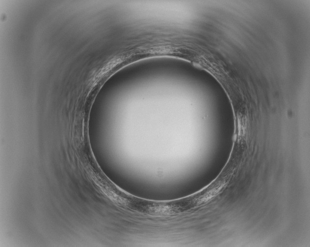 X0000059800301200510211058