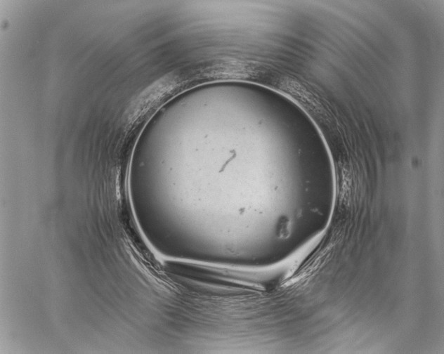 X0000059800302200510211058