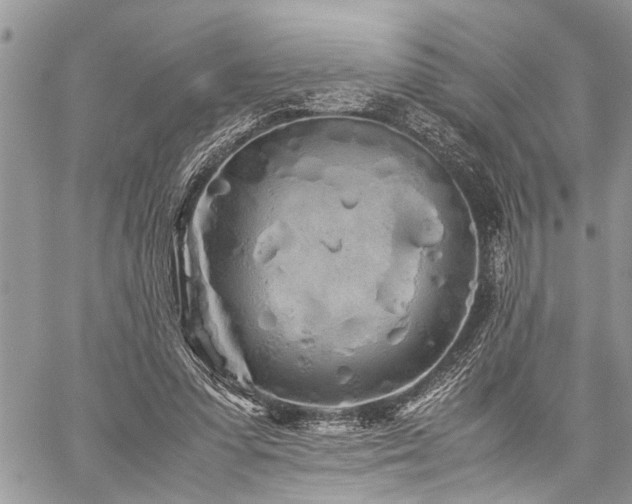 X0000059800303200510211058