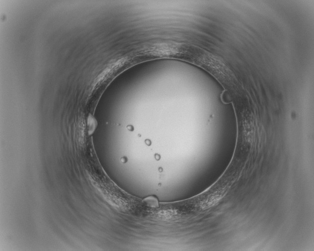 X0000059800304200510211058