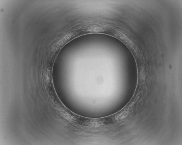 X0000059800305200510211058