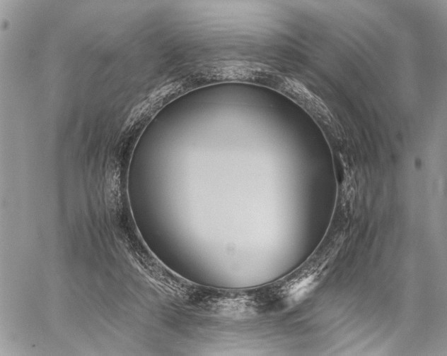 X0000059800306200510211058