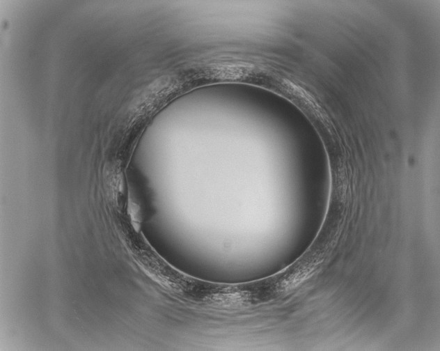 X0000059800307200510211058