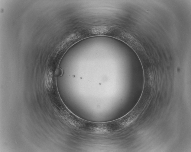 X0000059800308200510211058