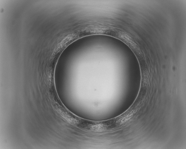 X0000059800309200510211058