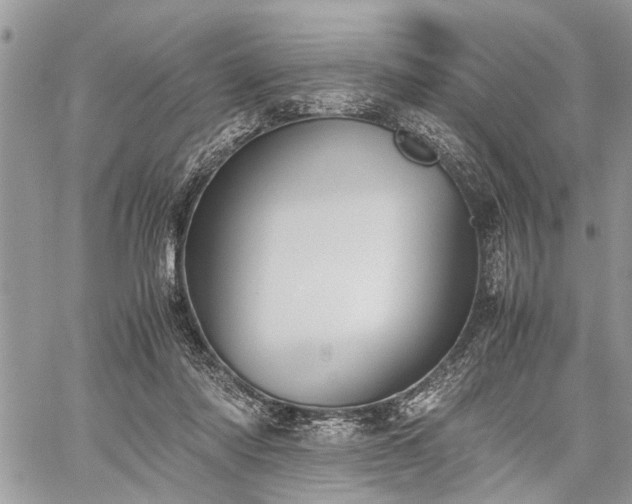 X0000059800310200510211058