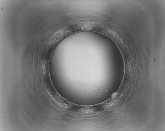 X0000059800311200510211058