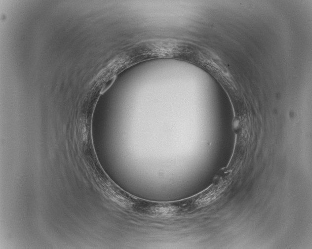 X0000059800313200510211058