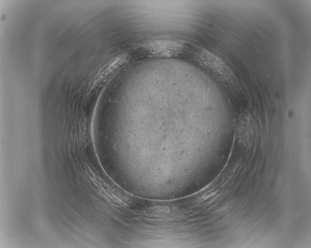 X0000059800314200510211058