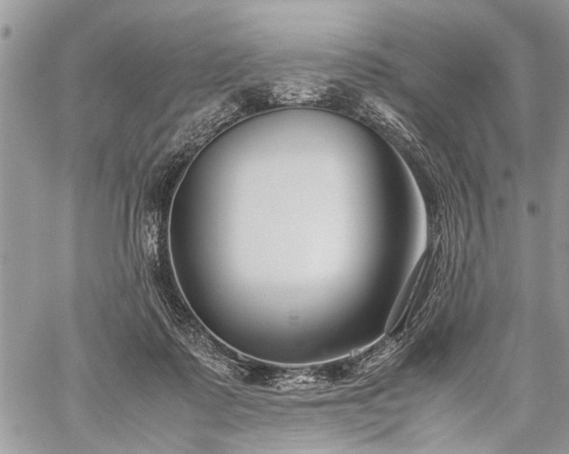 X0000059800315200510211058