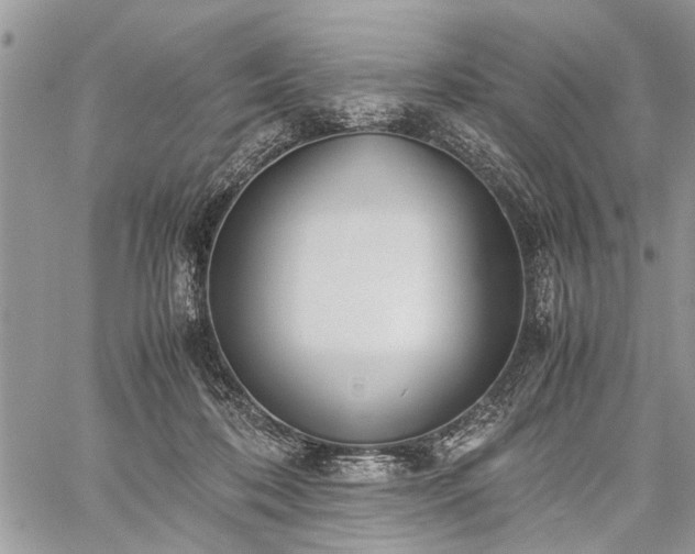 X0000059800316200510211058