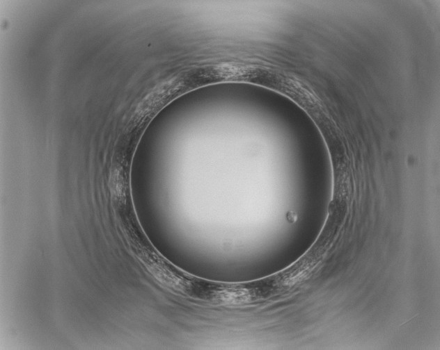 X0000059800317200510211058