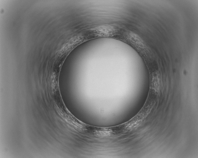 X0000059800318200510211058