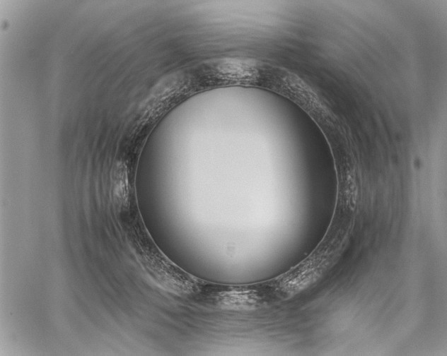 X0000059800320200510211058