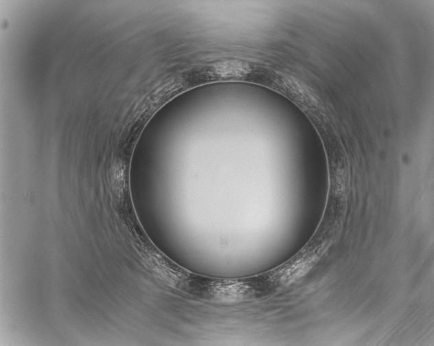 X0000059800321200510211058