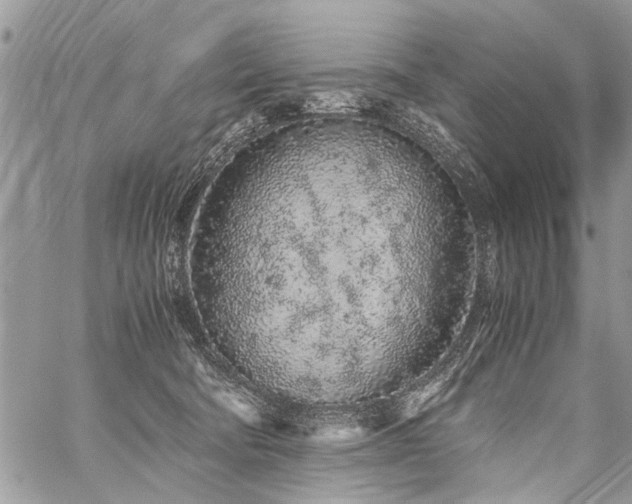 X0000059800322200510211058