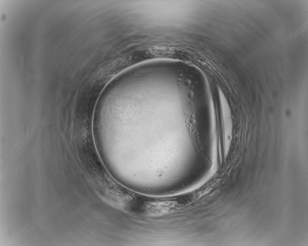 X0000059800323200510211058