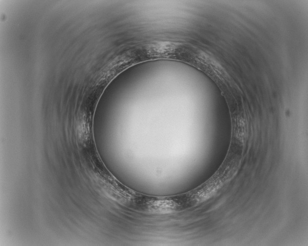 X0000059800324200510211058