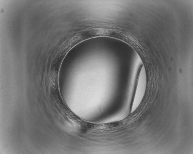 X0000059800325200510211058