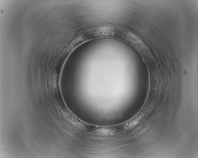 X0000059800326200510211058