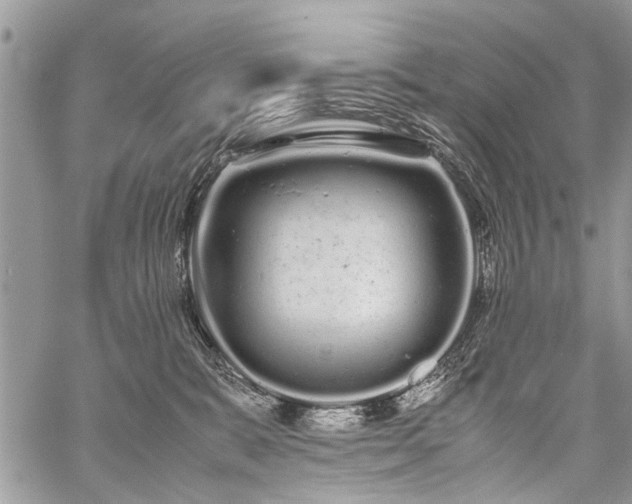 X0000059800327200510211058