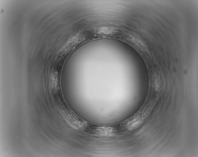 X0000059800328200510211058