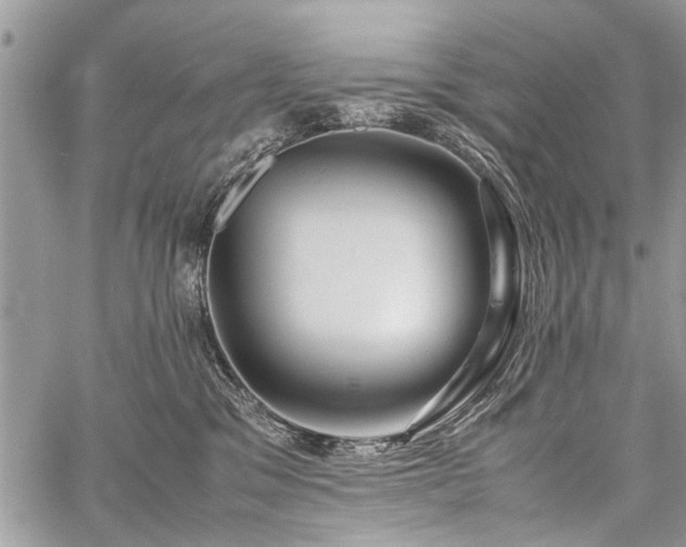 X0000059800329200510211058