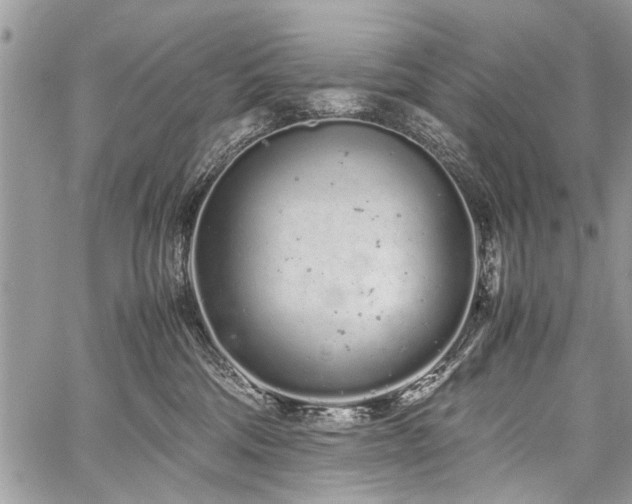 X0000059800330200510211058