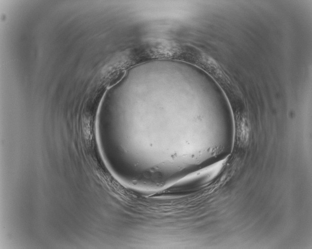 X0000059800331200510211058