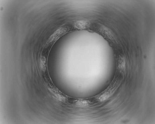 X0000059800332200510211058