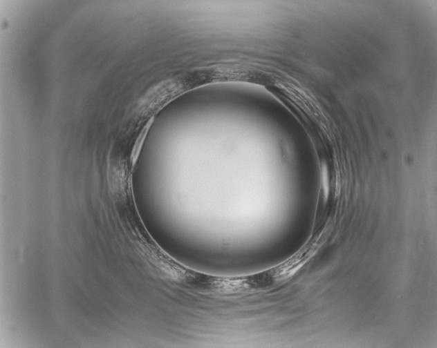 X0000059800333200510211058