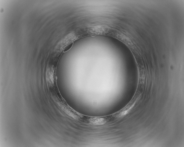 X0000059800334200510211058